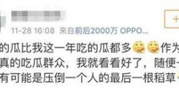 怎么屏蔽娱乐吃瓜群众,巧妙屏蔽娱乐吃瓜群众的实用指南