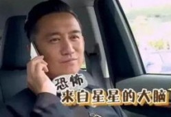 黄磊吃鸡爆料视频播放,揭秘明星幕后美食生活