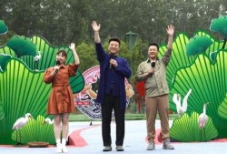 西湖盗窃学生爆料视频最新,校园安全警钟长鸣