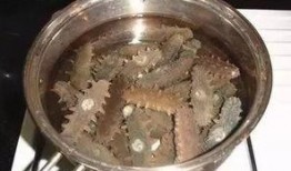 海参厨师爆料视频下载,揭秘海参烹饪秘籍与行业内幕