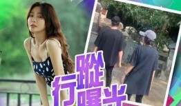 秦岚爆料杨幂视频大全最新,视频大全揭秘娱乐圈风云