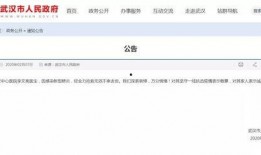 李文亮微信爆料视频大全,揭秘事件真相与背后故事