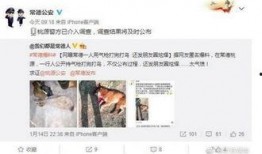 网友爆料最新新闻,最新热点事件引发社会关注