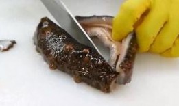 海参厨师爆料视频下载,揭秘海参烹饪秘籍与行业内幕