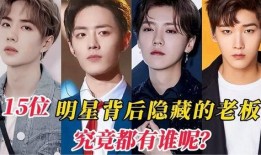 老板爆料明星视频大全,明星视频大全，揭秘娱乐圈幕后真相