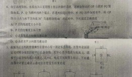 白露夺宝最新爆料消息是真的吗