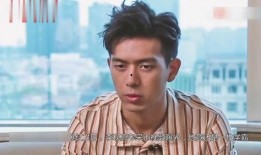 李现最新爆料视频,揭秘幕后的精彩瞬间