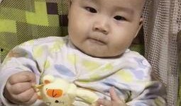 爆料孩子丑照视频大全,孩子丑照视频大全引发社会关注