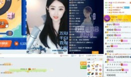 小颖爆料视频大全最新一期,揭秘娱乐圈幕后真相