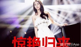 娱乐圈十一个爆料小说,十一则爆料背后的真相与秘密