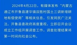 公平镇最新爆料消息,揭秘最新动态与幕后真相