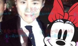 爆料张杰视频大全最新版,精彩瞬间回顾