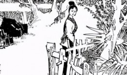 林中奇案在线观看,揭秘神秘森林的惊悚谜团