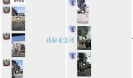 爆料黑网蘑菇视频