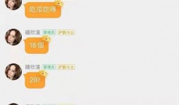 娱乐吃瓜公众号,揭秘明星幕后故事，带你领略明星圈层风云