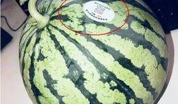 吃瓜湖南网红,揭秘网红圈层的热辣话题