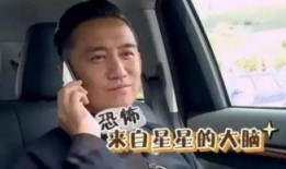 黄磊吃鸡爆料视频播放,揭秘明星幕后美食生活