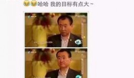 杨爸爆料视频完整版,事件真相与幕后黑幕大起底