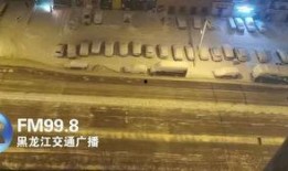 最新爆料暴雪视频播放大全,视频播放大全精彩回顾