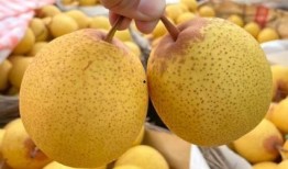 大白梨的爆料有哪些呢视频,揭秘幕后真相