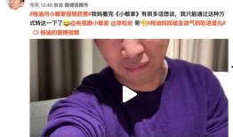 直播爆料杨迪视频大全最新,揭秘娱乐圈幕后故事