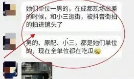 杭州小三最新爆料事件,豪门恩怨再掀波澜
