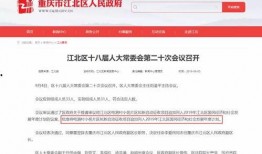 重庆人才爆料最新消息新闻,最新人才市场动态及行业趋势解读