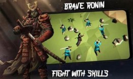 流浪武士佩恩爆料视频大全,揭秘流浪武士的传奇人生