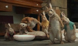 二狗子邻居爆料视频在线观看,揭秘惊人真相，网友热议不断