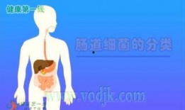 韩国细菌爆料视频大全,揭秘隐藏在镜头下的惊人真相