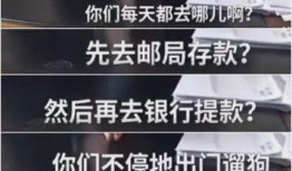 河南村长爆料视频,揭秘乡村现状与民生问题