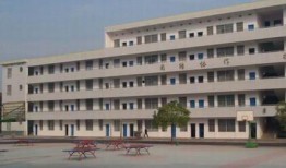 爆料益阳学校视频最新