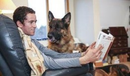 狼狗最新爆料网站,揭秘娱乐圈不为人知的秘密