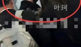 国外明星狗仔爆料视频播放,国外明星萌宠日常大揭秘