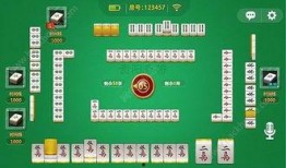 贵州麻将直播爆料最新视频,最新视频揭秘精彩瞬间