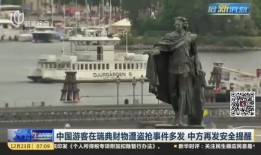 中国游客爆料视频播放,真实旅行体验大揭秘