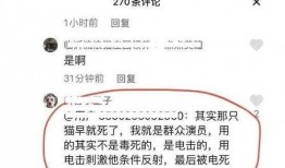 网友爆料电击视频播放,网友爆料揭露惊人真相