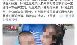 姐弟坠楼案爆料了吗视频,揭秘背后惊人真相，视频爆料引发社会关注