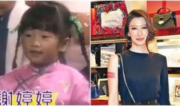 妹妹节目爆料视频大全集,揭秘娱乐圈不为人知的秘密