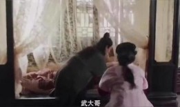 天涯爆料金莲姐视频大全,金莲姐视频大全揭秘，精彩瞬间一网打尽