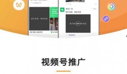 小盒鱼爆料视频在线观看,揭秘幕后真相，带你走进神秘世界