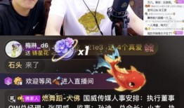 炳哥直播爆料事件视频在线观看,揭秘幕后真相，视频在线观看解析