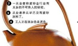 紫砂爆料新闻视频播放下载,新闻视频播放下载攻略揭秘