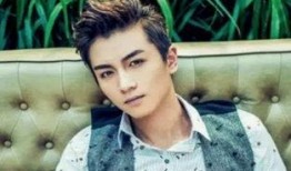 圈内爆料鹿晗胡歌,揭秘娱乐圈的神秘邂逅与传奇故事