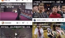 挑战全网吃瓜爆料视频,挑战吃瓜爆料视频，揭秘娱乐圈幕后真相