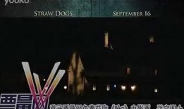 稻草狗在线观看,在线观看，揭秘神秘村庄的惊悚故事