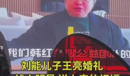 刘能娱乐圈爆料视频播放,揭秘明星幕后故事