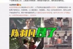 红红爆料王天缘视频,王天缘视频引发热议，揭秘背后真相