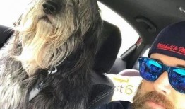 狼狗最新爆料网站,揭秘娱乐圈不为人知的秘密