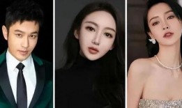 国外明星狗仔爆料视频播放,国外明星萌宠日常大揭秘